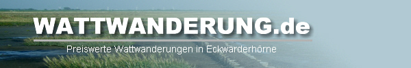 Wattwanderungen in Eckwarderhörne