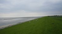 dsc00898