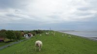 dsc01070