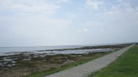 dsc01113